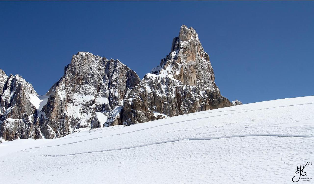 Casa De Fiemme Bed & Breakfast Tesero Bagian luar foto